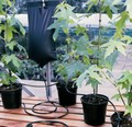 Big Drippa Watering Kit